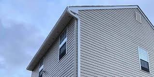 Best Siding Painting and Refinishing  in Crete, IL